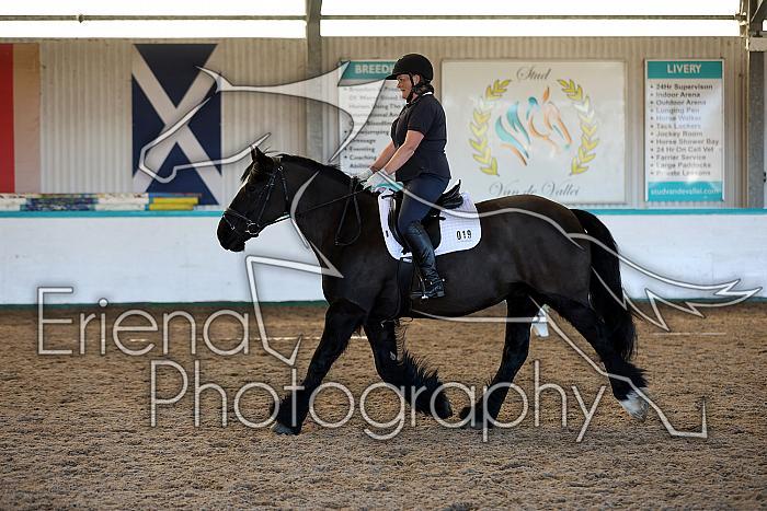 Novice2003