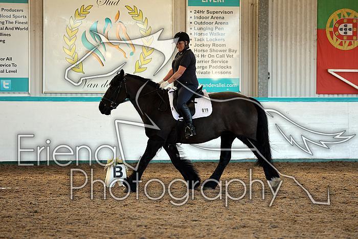 Novice2004
