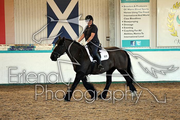 Novice2006