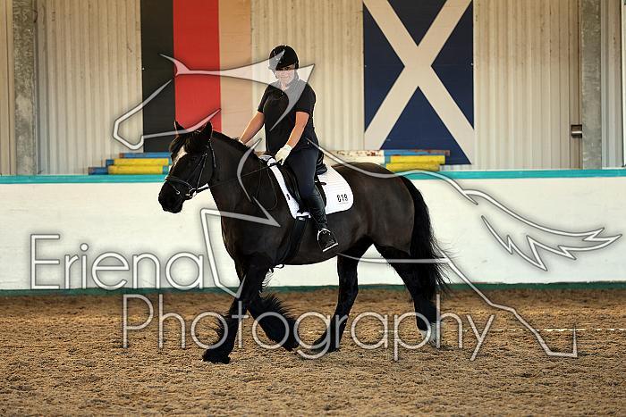 Novice2007