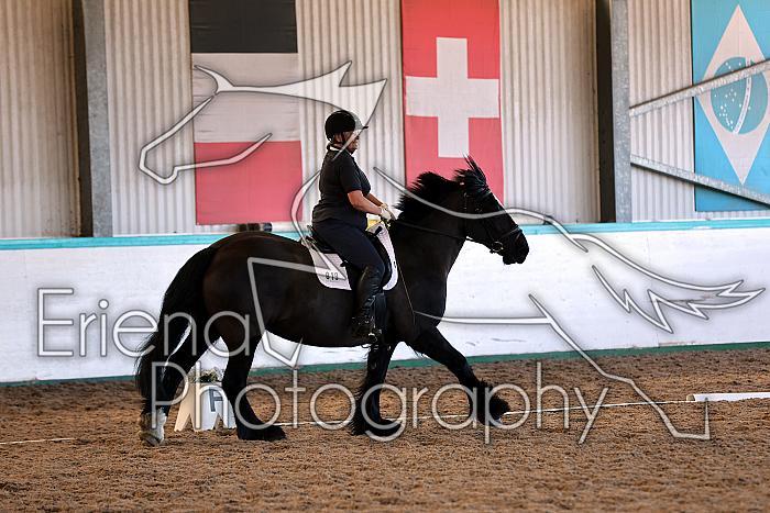 Novice2008