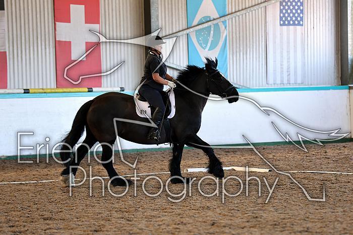 Novice2009