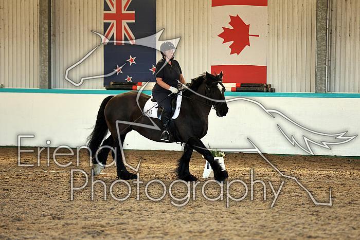 Novice2010
