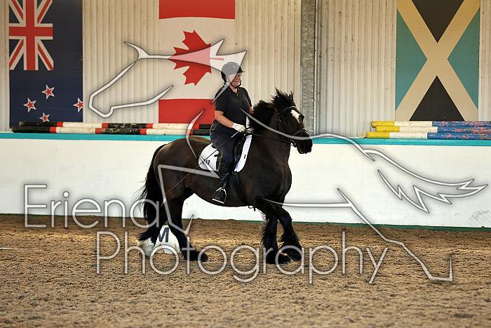 Novice2011