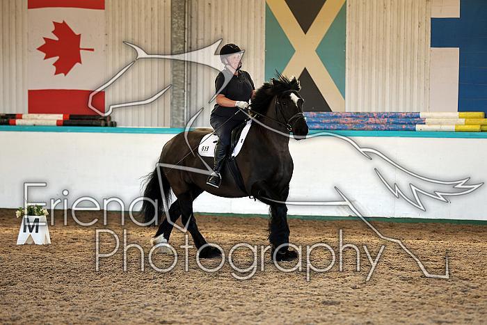 Novice2012