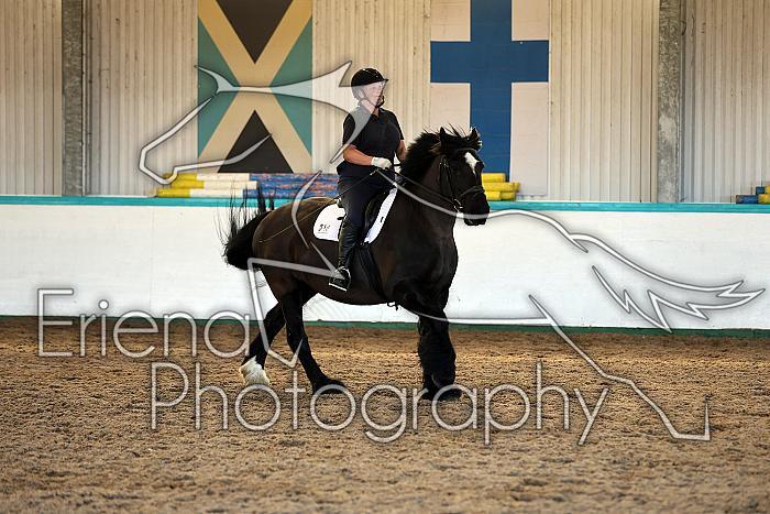 Novice2013