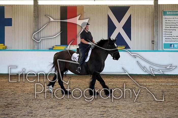 Novice2015