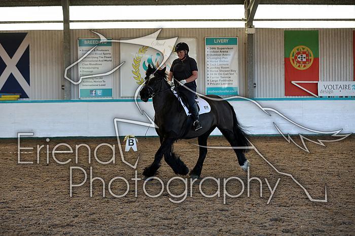 Novice2016