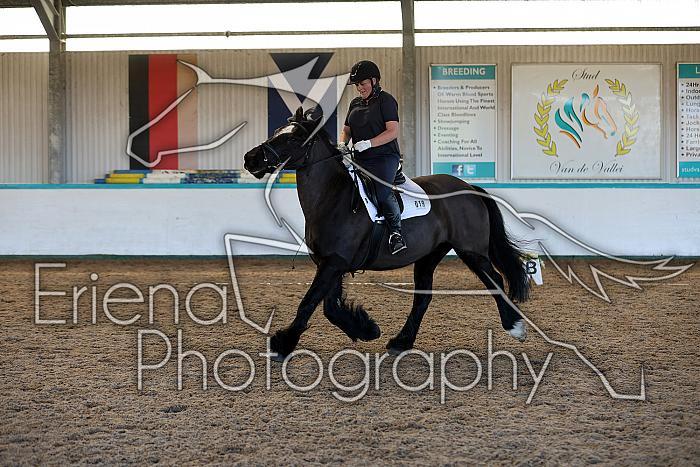 Novice2017