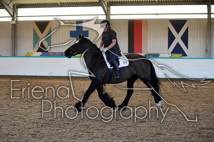 Novice2018