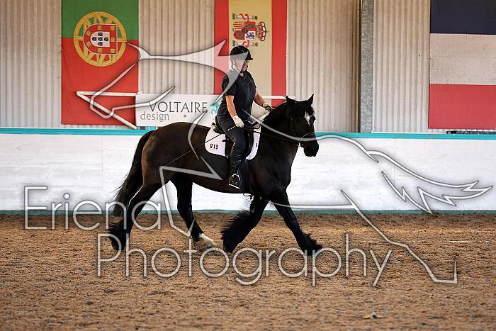 Novice2019
