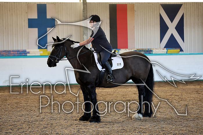 Novice2027