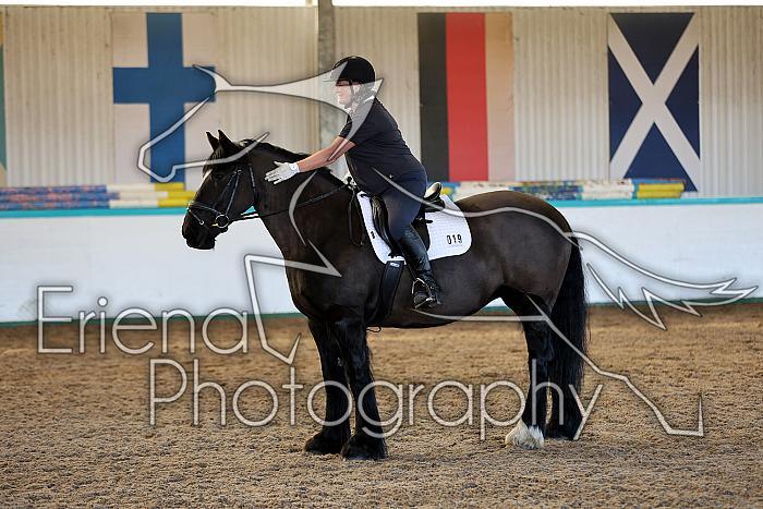 Novice2028