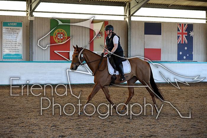 Novice2029