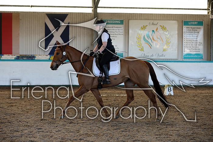 Novice2031