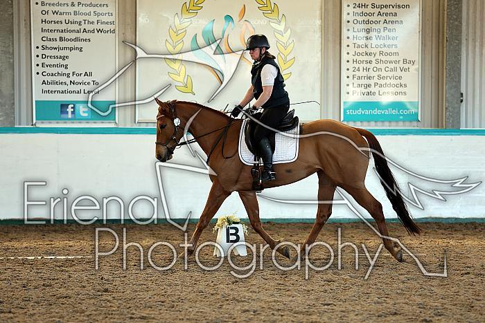 Novice2032