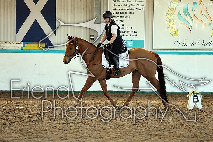 Novice2033