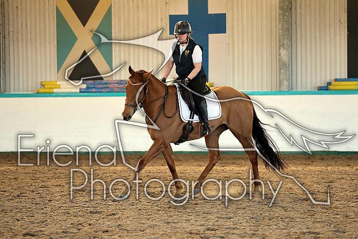 Novice2036