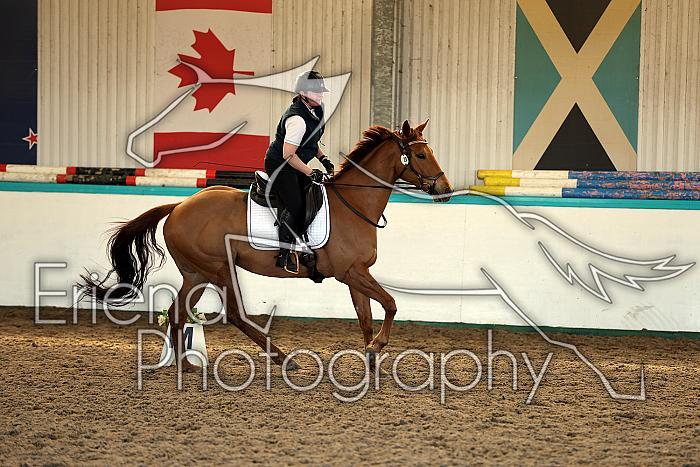 Novice2039