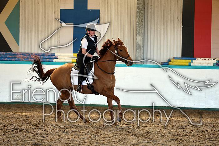 Novice2041