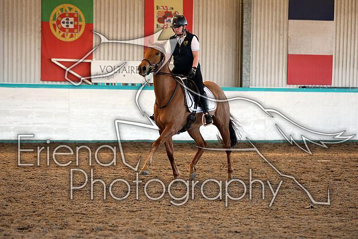 Novice2044