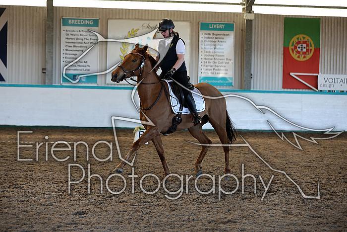 Novice2046