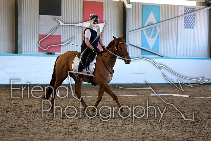 Novice2052