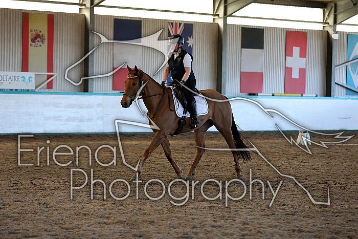 Novice2061