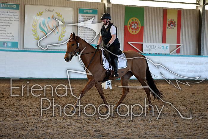 Novice2063