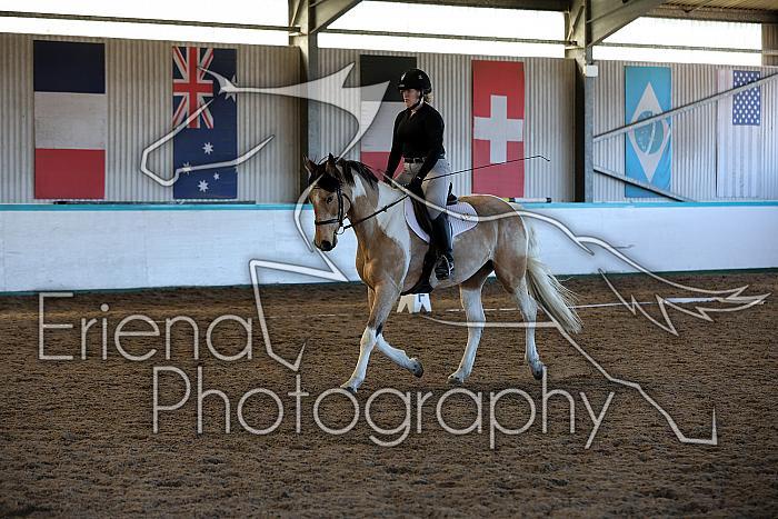 Novice2066