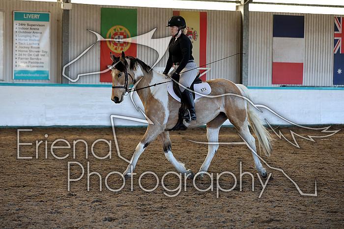 Novice2068