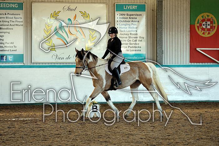 Novice2074