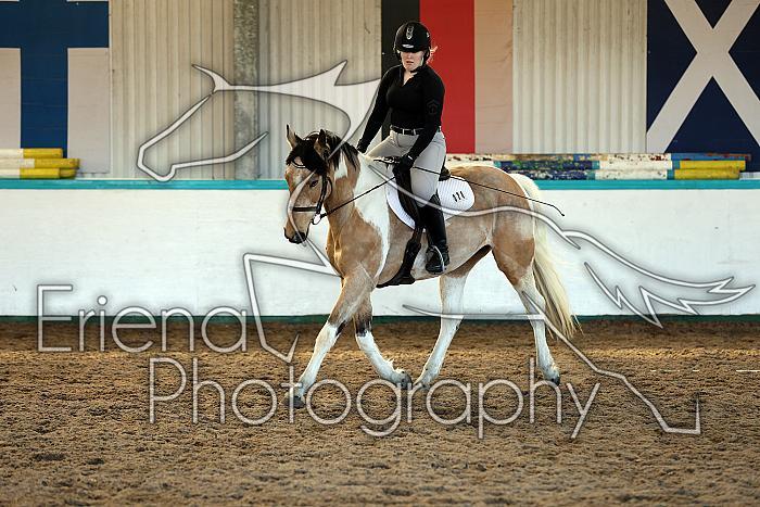 Novice2077