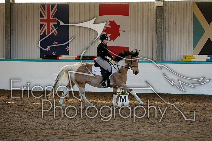 Novice2079