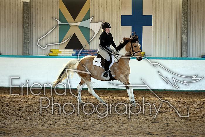 Novice2081