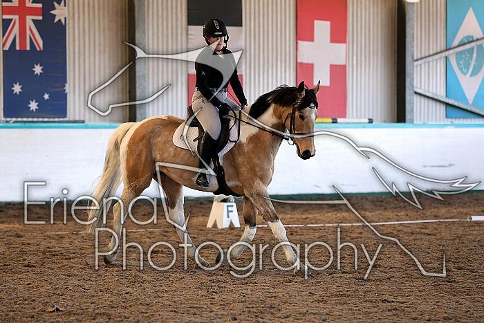 Novice2085
