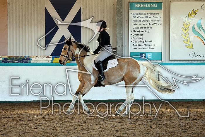 Novice2093