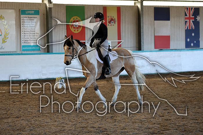 Novice2100