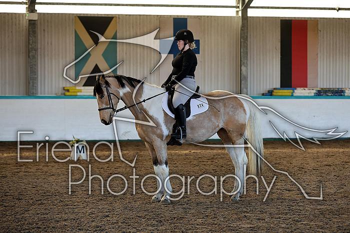 Novice2101