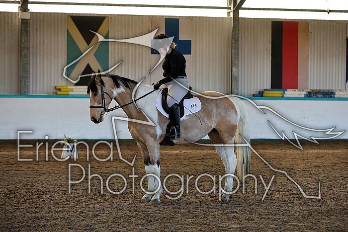 Novice2102