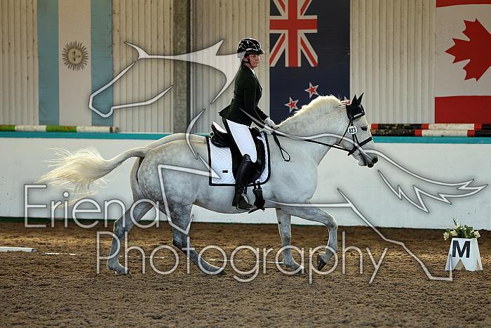 Novice2113