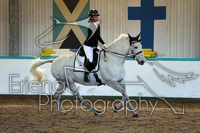 Novice2115