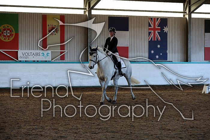 Novice2119