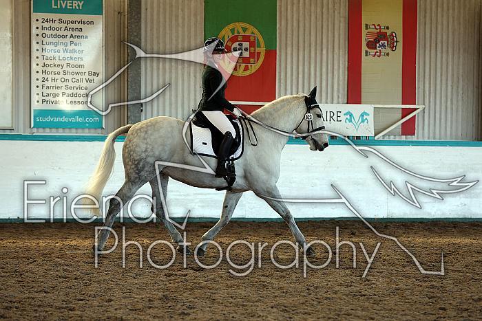 Novice2126