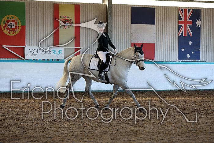 Novice2131
