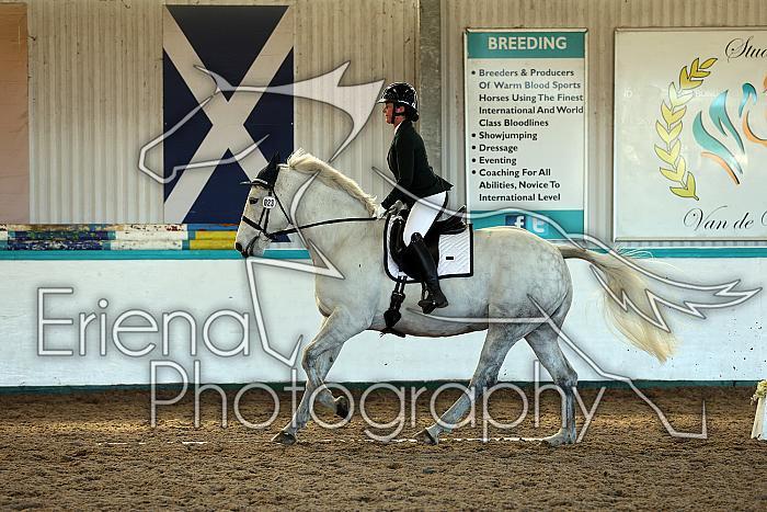 Novice2137