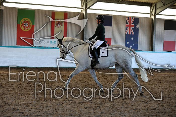 Novice2141