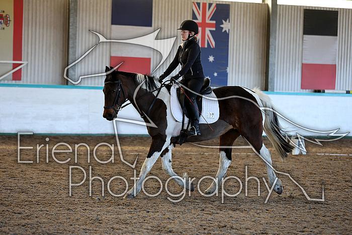 Novice2146