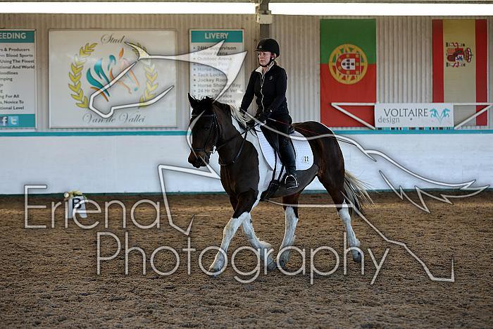 Novice2164