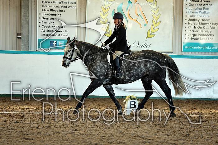 Novice2196